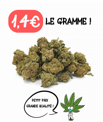 CADEAU SMALL BUD