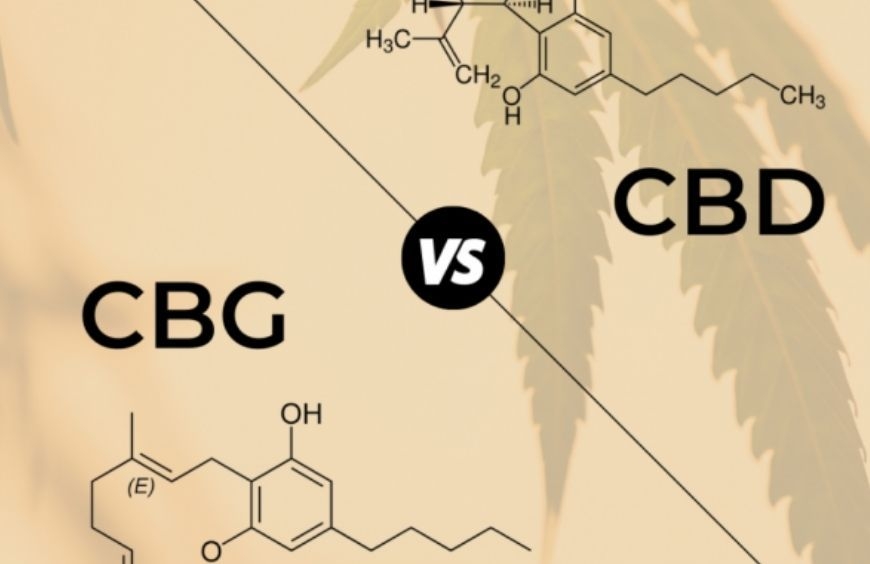 CBD et CBG MAGIC