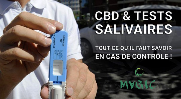 CBD et test salivaire MAGIC